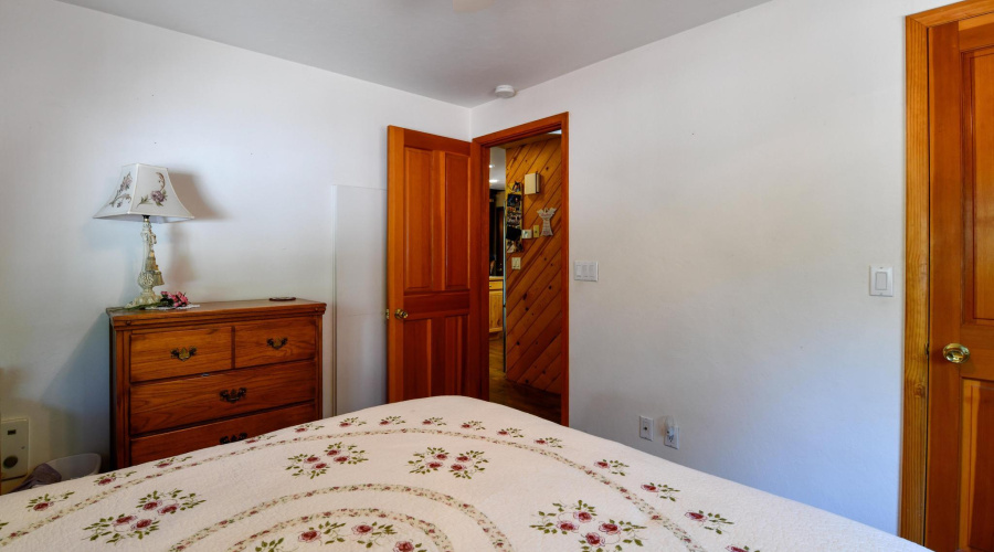 E downstairs bedroom (1)