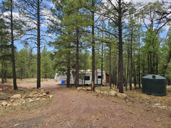 2816 Canyon View Dr Drive, Happy Jack, Arizona 86024, ,Land,For Sale,Canyon View Dr,92509