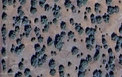 16 County Road 8136, Concho, Arizona 85924, ,Land,For Sale,County Road 8136,257508