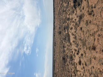 8317 Buckskin Trail, Snowflake, Arizona 85937, ,Land,For Sale,Buckskin,257500