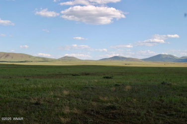 Lot 55 Concho Lakeland, Concho, Arizona 85924, ,Land,For Sale,Concho Lakeland,257499