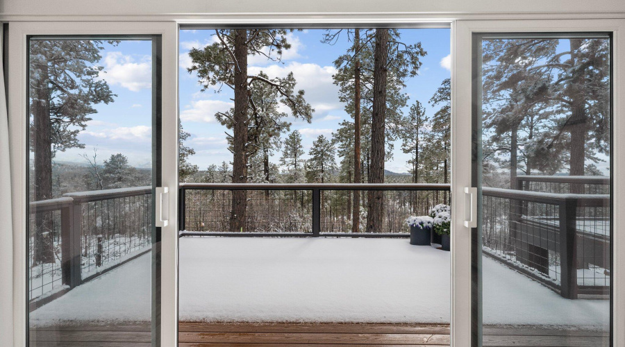 Primary Bedroom with Winter views