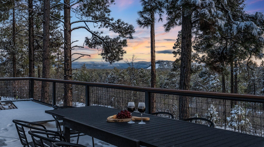 Twilight Views of the Forest
