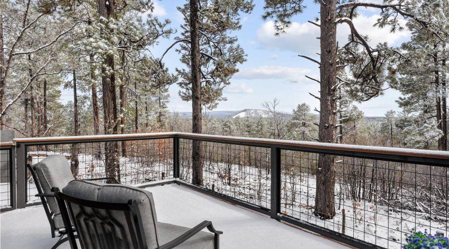 Winter Shot off Primary Bedroom