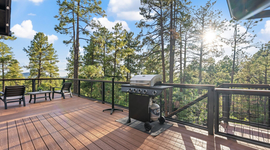 Extended Trex Deck perfect for Entertain