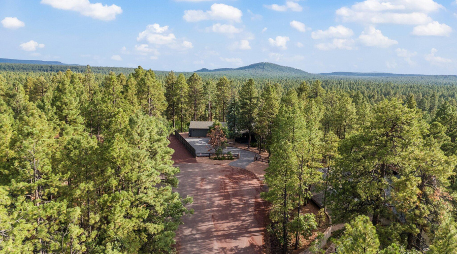 Drone Shot of the Drive to the Home