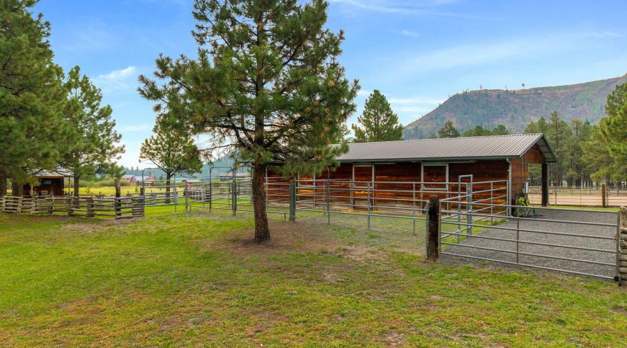 51MainSt-Greer-AZ-63