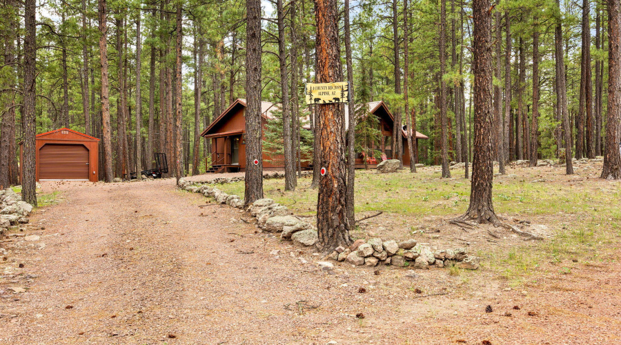 4CoRd2089-Alpine-AZ-4