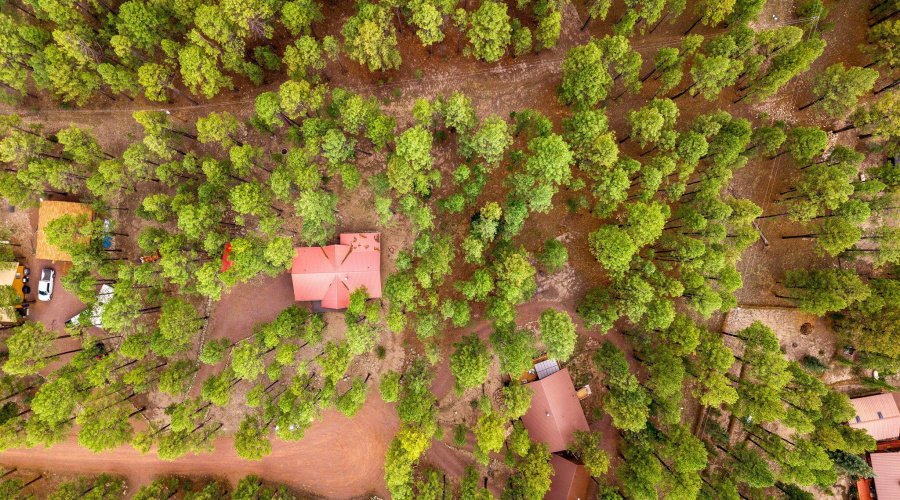 4CoRd2089-Alpine-AZ-33