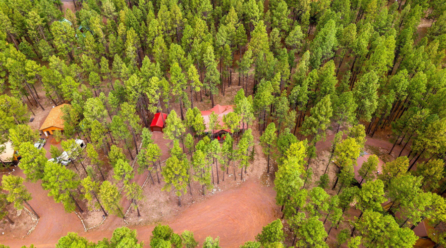 4CoRd2089-Alpine-AZ-34