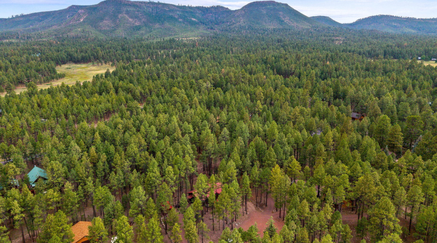 4CoRd2089-Alpine-AZ-35