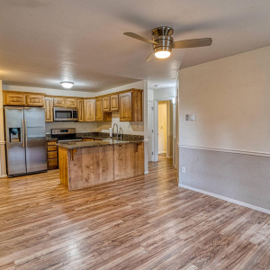 Living Area and Kitchen