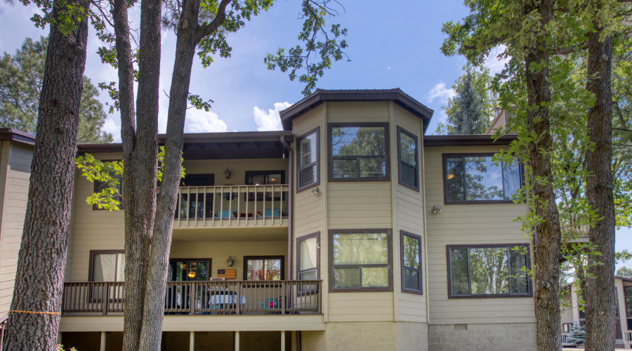 Paxmanphoto_PAX_9313