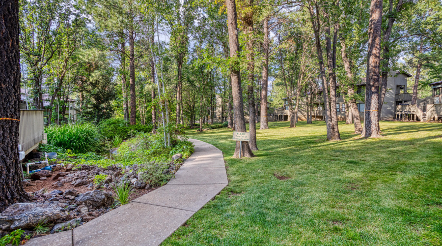 PAX_1142_AuroraHDR2019-edit