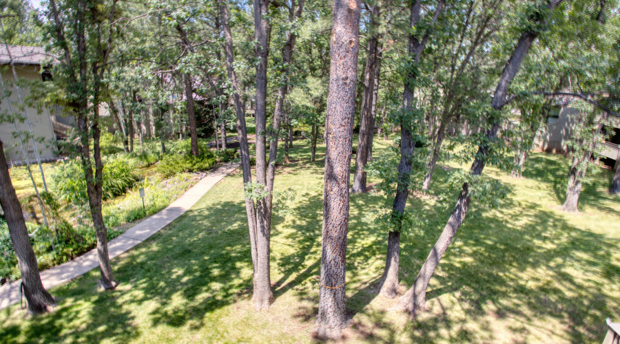 Paxmanphoto_PAX_9283