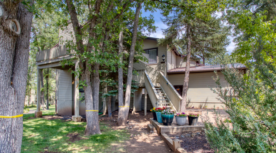 Paxmanphoto_PAX_9307