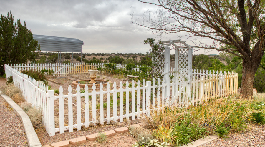 Paxmanphoto_PAX_9527-X4