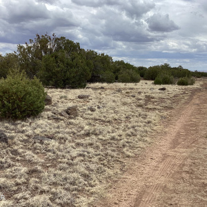 Arkansas Rd facing east