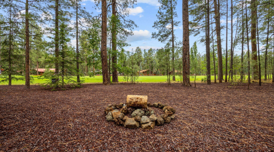 7161IndianBendRd-Pinetop-AZ-31