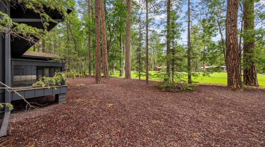 7161IndianBendRd-Pinetop-AZ-32