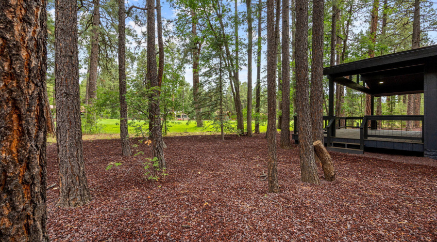 7161IndianBendRd-Pinetop-AZ-33