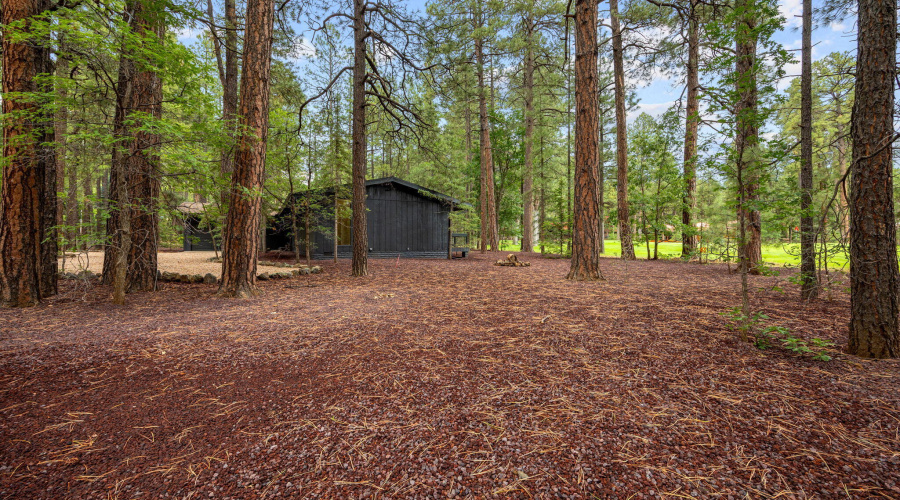 7161IndianBendRd-Pinetop-AZ-37