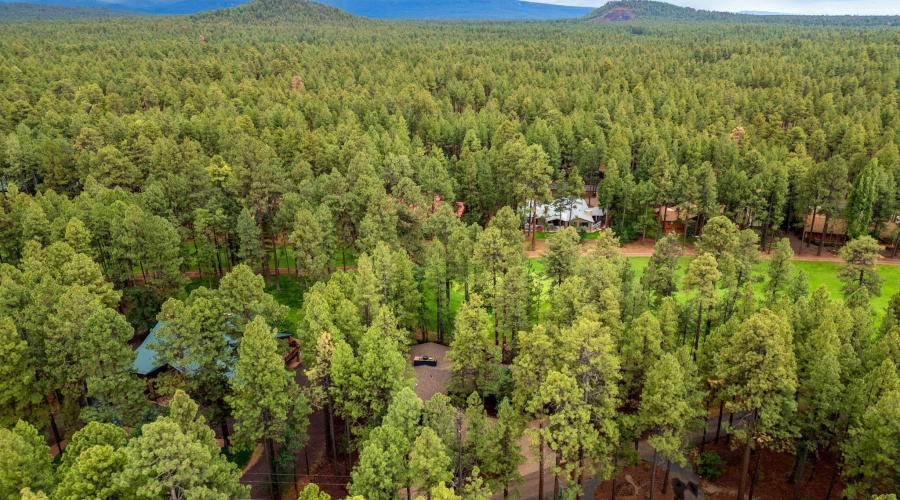 7161IndianBendRd-Pinetop-AZ-39