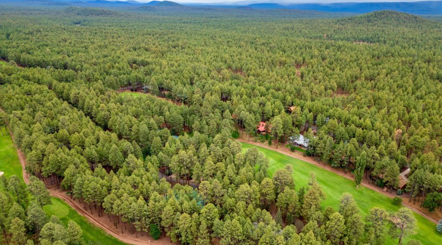 7161IndianBendRd-Pinetop-AZ-41