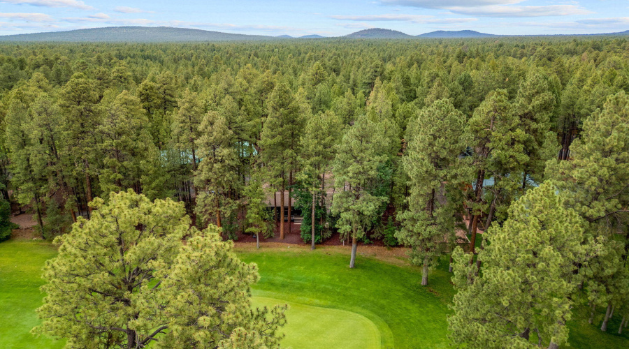 7161IndianBendRd-Pinetop-AZ-43