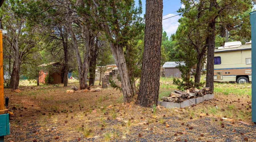 2086PinewoodDr-HeberOvergaard-AZ-25