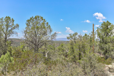 1106 Gold Nugget Lane, Payson, Arizona 85541, ,Land,For Sale,Gold Nugget,92737