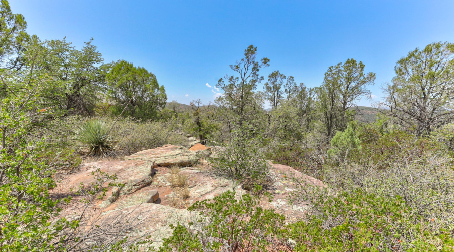 mls-1E0A5378_79_80_81_82 copy