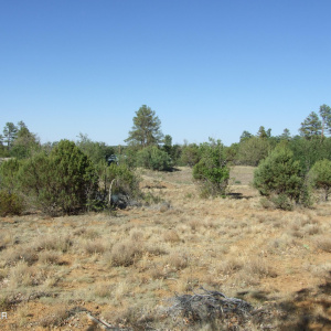 Pinedale Paradise