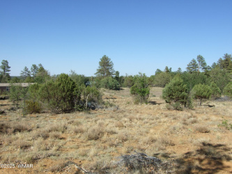 Parcel A Lamb Dr, Pinedale, Arizona 85934, ,Land,For Sale,Lamb Dr,257564