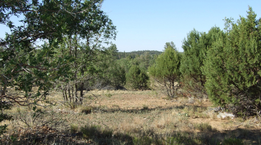 Wonderful building lot