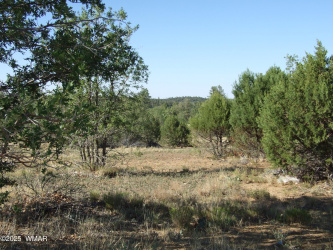 Parcel B Lamb Dr, Pinedale, Arizona 85934, ,Land,For Sale,Lamb Dr,257565