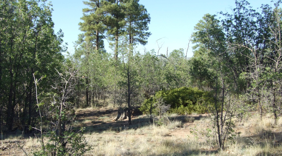 Wonderful building lot