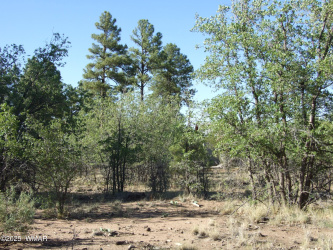 Parcel E Lamb Dr, Pinedale, Arizona 85934, ,Land,For Sale,Lamb Dr,257568