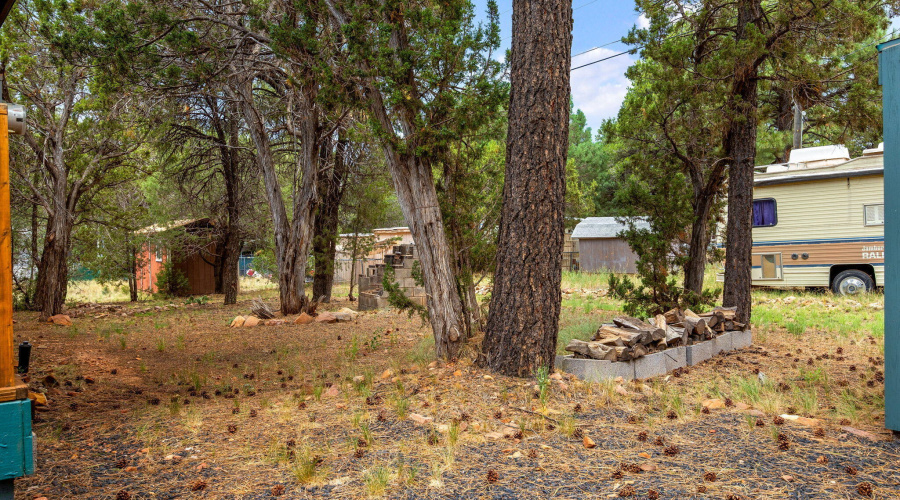 2086PinewoodDr-HeberOvergaard-AZ-25