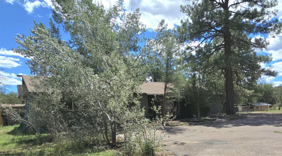 Hm surrounded by Mature Shade Trees