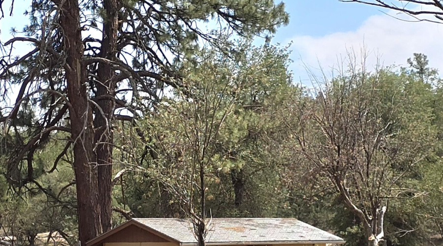 Storage Shed S of Hm