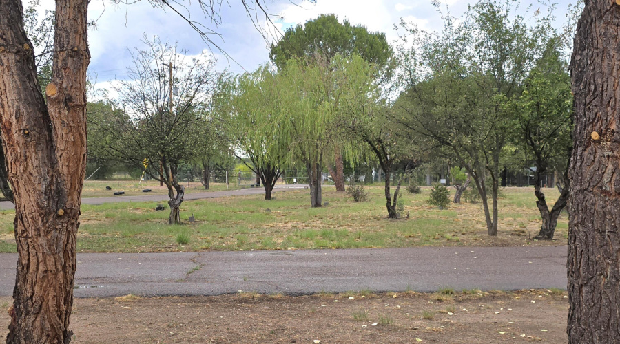 Driveway twd Trees by Hwy