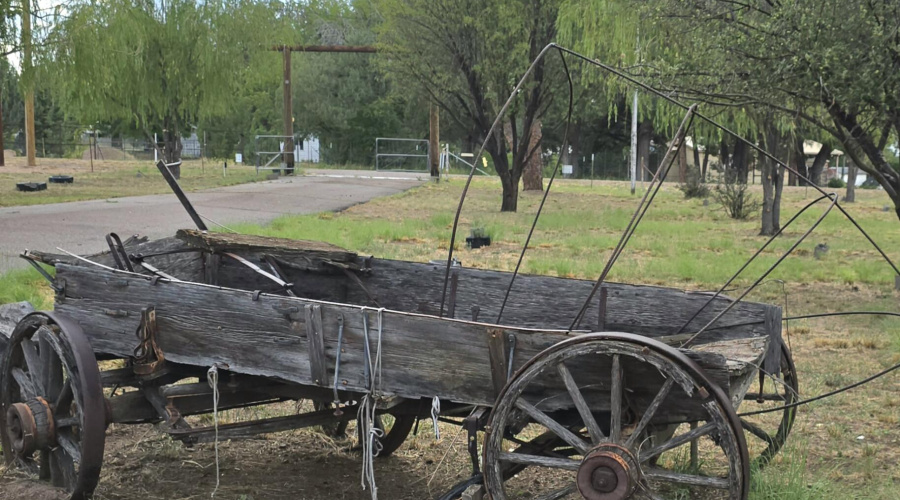 Wagon in Front Yard
