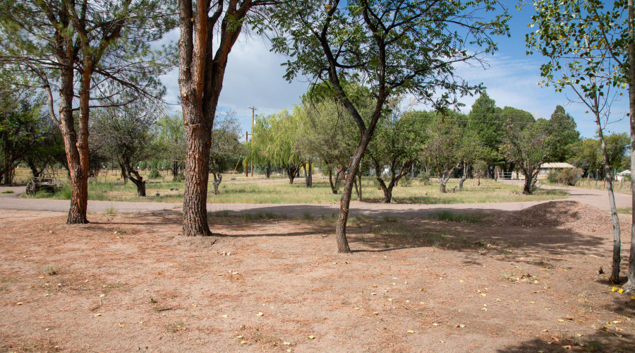 U Shaped Driveway to 2 Gates