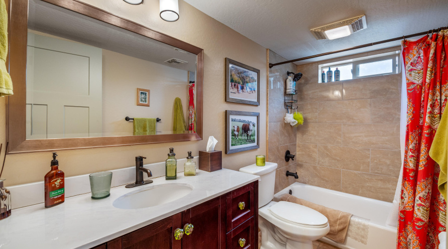 Guest Bath Main Floor