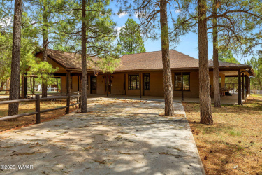 1955 Ricochet Ranch Road, Overgaard, Arizona 85933, Bedrooms, ,Bathrooms,Residential,For Sale,Ricochet Ranch,257578