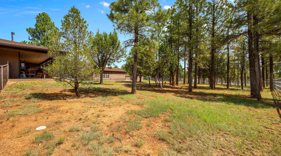 1955RicochetRanchRd-Pinedale-AZ-37