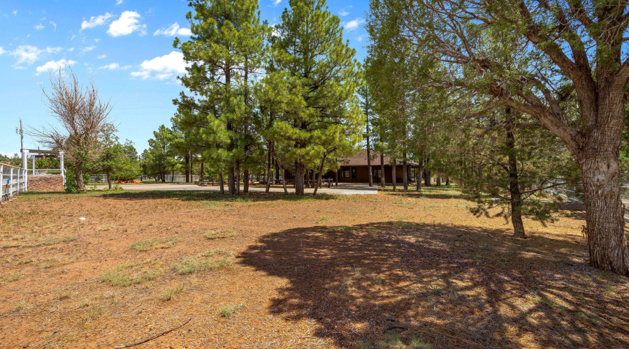 1955RicochetRanchRd-Pinedale-AZ-38
