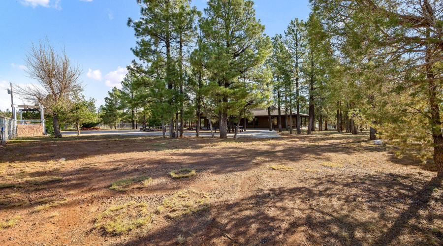 1955RicochetRanchRd-PinedaleAZ-Retake-5