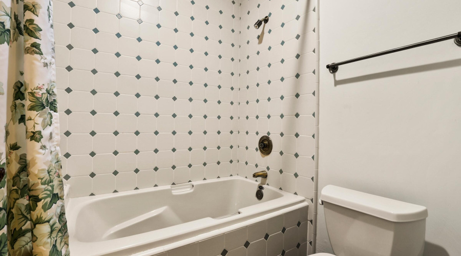 Guest Bathroom Downstairs (2)